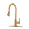 Pull Down Kitchen Faucet with Sprayer Stainless Steel