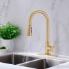 Pull Down Kitchen Faucet with Sprayer Stainless Steel